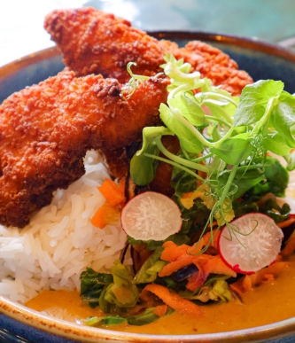 Crispy fried chicken pieces served over rice with fresh greens, radish slices, and orange sauce.